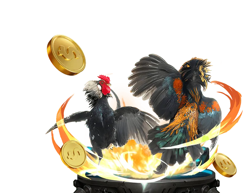 Trực tiếp đá gà online